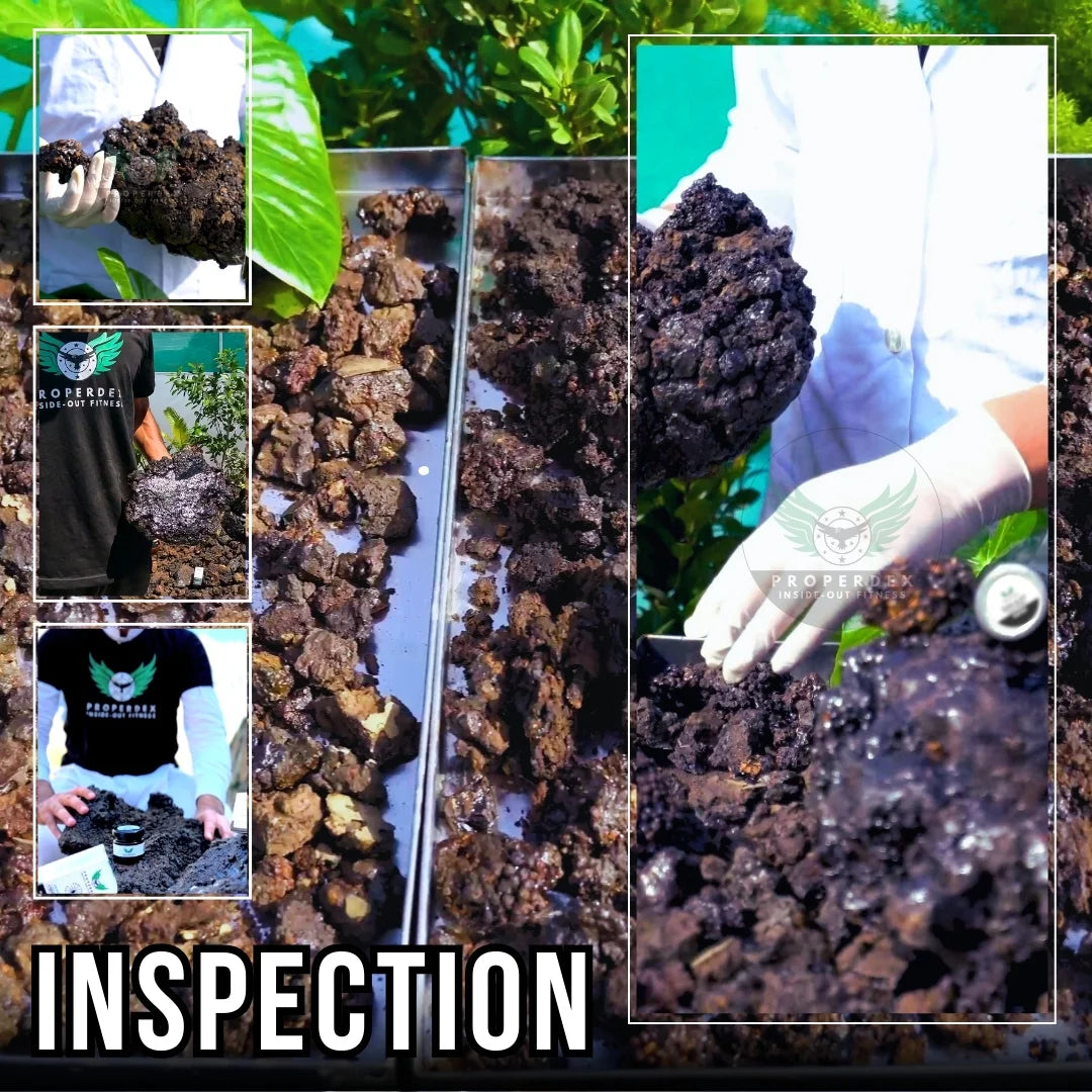How to check shilajit — quality inspection of raw resin at Properdex.