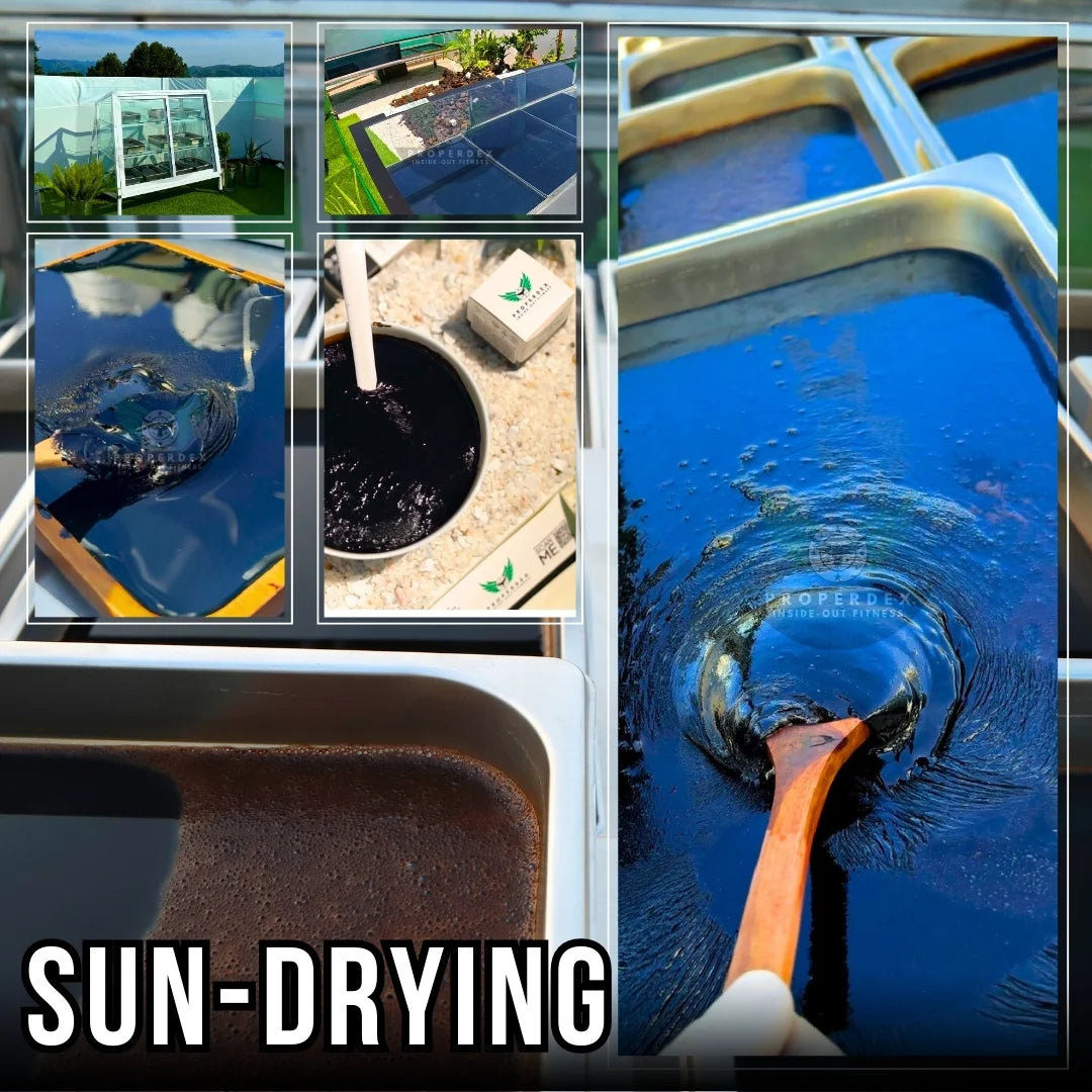 Sundried shilajit — trays sun-drying purified resin at Properdex.